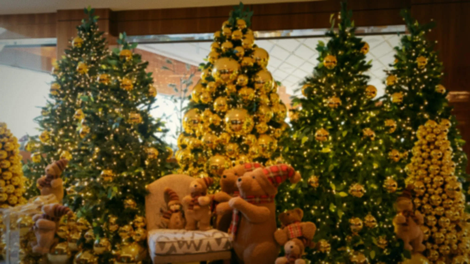 Goldene Weihnachtsbäume und Teddybären im Saal des Terraço Itália, Weihnachten 2025