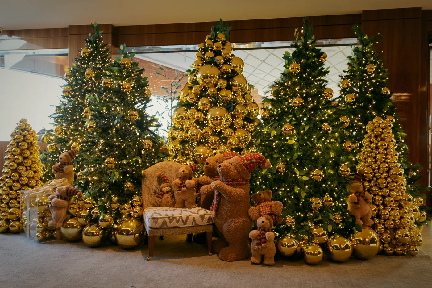 Goldene Weihnachtsbäume im Saal
